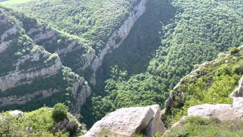 Xarici diplomatlar Cıdır düzündə olublar